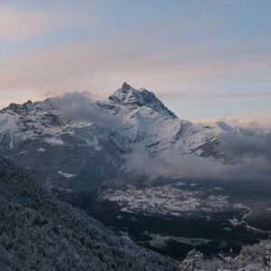 Meet your Posher, Kristin